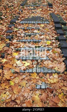 Autumn. Brick stairs on the park footpath, covered with yellow leaves. Pavement in old city Park with yellow maple leaves. Fallen leaves in old park Stock Photo