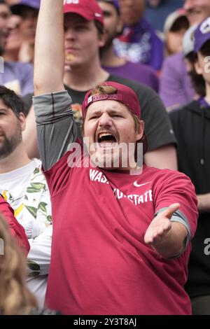 Seattle, United States. 14th Sep, 2024. Cougar fans get loud during the second quarter of the 2024 Apple Cup against the Washington Huskies at Lumen Field in Seattle, Washington on September 14, 2024. (Photo credit Nate Koppelman/Sipa USA) Credit: Sipa USA/Alamy Live News Stock Photo