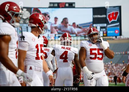 Madison, WI, USA. 14th Sep, 2024. Alabama Crimson Tide quarterback Jalen Milroe (4), offensive lineman Roq Montgomery (55), quarterback Ty Simpson (15), and wide receiver Kobe Prentice (6) warming up before the NCAA Football game between the Alabama Crimson Tide and the Wisconsin Badgers at Camp Randall Stadium in Madison, WI. Darren Lee/CSM (Credit Image: © Darren Lee/Cal Sport Media). Credit: csm/Alamy Live News Stock Photo