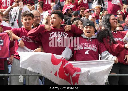 Seattle, United States. 14th Sep, 2024. Washington State Cougars fans cheer on their team during the first quarter of the 2024 Apple Cup against the Washington Huskies at Lumen Field in Seattle, Washington on September 14, 2024. (Photo credit Nate Koppelman/Sipa USA) Credit: Sipa USA/Alamy Live News Stock Photo