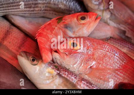 Restaurant serving fresh grilled fish caught in the Atlantic Ocean in Essaouira, Morocco. Essaouira, Essaouira Province, Marrakech-Safi Region, Atlant Stock Photo