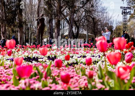 Beijing, China. 14th Sep, 2024. This photo taken on Sept. 14, 2024 shows a view of the Floriade flower festival in Canberra, Australia. Credit: Chu Chen/Xinhua/Alamy Live News Stock Photo