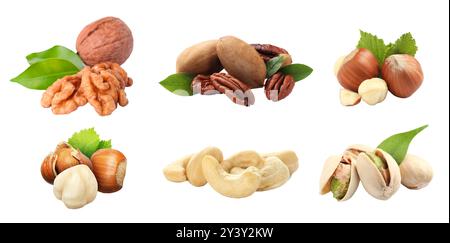 Different nuts on white background, collection. Pecan, walnut, hazelnut, cashew and pistachio Stock Photo