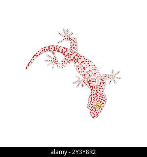 Danger Lizard Design Illustration Stock Vector