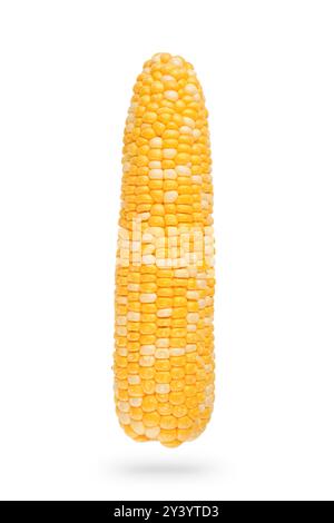 Sweet corn cob isolated on white background with clipping path. Fresh corncob. Design element. Stock Photo