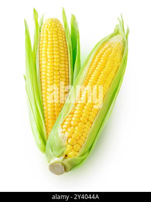 Two yellow corn cobs with leaves isolated on white Stock Photo