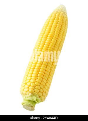 One raw peeled corn cob isolated on white background Stock Photo