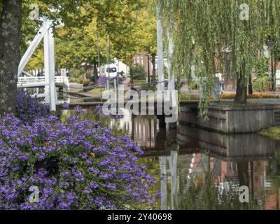 A bridge over a canal with purple flowers and autumnal trees in an urban landscape, papenburg, emsland, germany Stock Photo