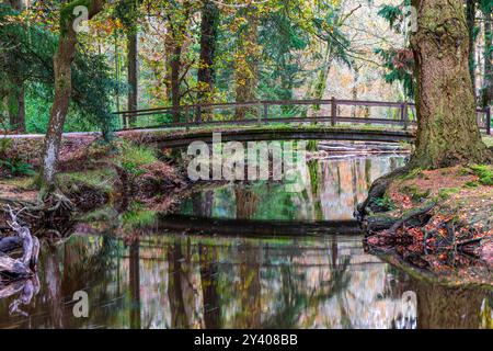 Rhinefield Bridge over Blackwater Stream, Ornamental Drive, Brockenhurst, New Forest, Hampshire, Uk Stock Photo