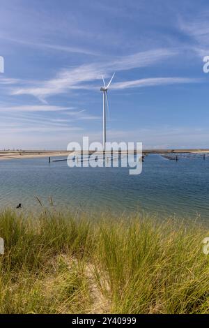 Wind power plants on the coast of Zeeland district in the south of Holland Stock Photo