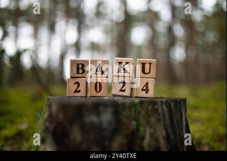 COP29 Event Concept Image Render. Baku, Azerbaijan. 2024. Words Baku ...