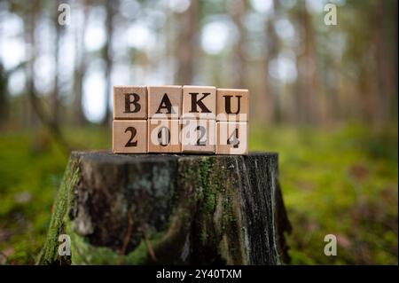 COP29 Event Concept Image Render. Baku, Azerbaijan. 2024. Words Baku ...