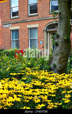 Red post boxes and yellow flowers,Winckley Square,Preston,UK Stock Photo