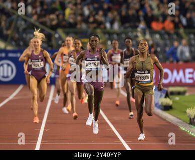 Diribe Welteji of Ethiopia and Faith Kipyegon of Kenya competing in the women’s 1500m at the Memorial Van Damme Diamond League athletics finals at the Stock Photo