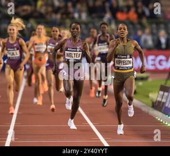 Diribe Welteji of Ethiopia and Faith Kipyegon of Kenya competing in the women’s 1500m at the Memorial Van Damme Diamond League athletics finals at the Stock Photo