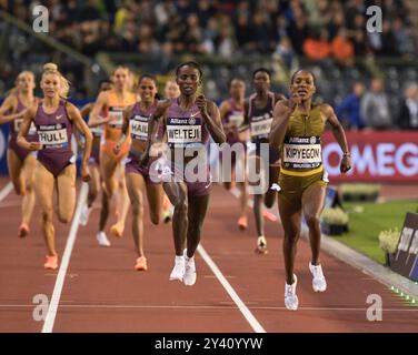 Diribe Welteji of Ethiopia and Faith Kipyegon of Kenya competing in the women’s 1500m at the Memorial Van Damme Diamond League athletics finals at the Stock Photo