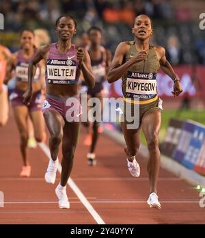 Diribe Welteji of Ethiopia and Faith Kipyegon of Kenya competing in the women’s 1500m at the Memorial Van Damme Diamond League athletics finals at the Stock Photo