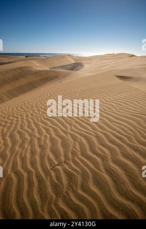 Maspalomas dunes on Gran Canaria, Canary Islands, Spain Stock Photo