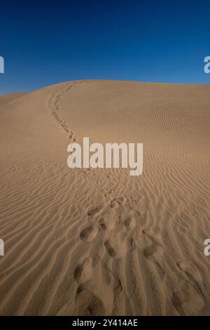 Maspalomas dunes on Gran Canaria, Canary Islands, Spain Stock Photo