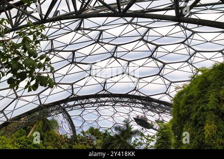 A close-up view of a modern greenhouse structure with a geometric glass and metal roof, surrounded by lush greenery and tropical plants. Stock Photo