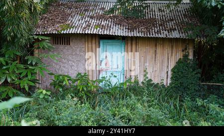 Solitary Refuge: An Abandoned Cabin Lost in the Forest Stock Photo