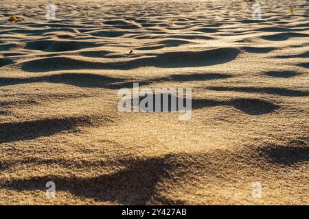 Sunlit sand dunes create intricate shadow patterns on the beach. Stock Photo