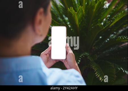 A person holding a smartphone with a blank screen, standing in front of lush green palm leaves, merging technology with nature. Stock Photo