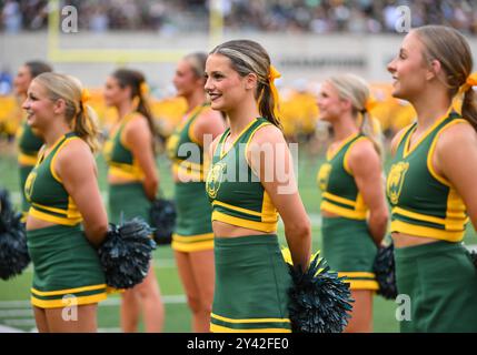 Waco, Texas, USA. 14th Sep, 2024. Baylor Bears cheerleaders before the NCAA Football game between the Air Force Falcons and Baylor Bears at McLane Stadium in Waco, Texas. Matthew Lynch/CSM/Alamy Live News Stock Photo