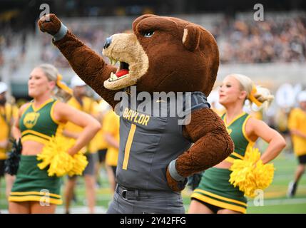 Waco, Texas, USA. 14th Sep, 2024. Baylor Bears mascot before the NCAA Football game between the Air Force Falcons and Baylor Bears at McLane Stadium in Waco, Texas. Matthew Lynch/CSM/Alamy Live News Stock Photo