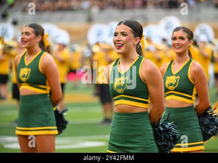 Waco, Texas, USA. 14th Sep, 2024. Baylor Bears cheerleaders before the NCAA Football game between the Air Force Falcons and Baylor Bears at McLane Stadium in Waco, Texas. Matthew Lynch/CSM/Alamy Live News Stock Photo