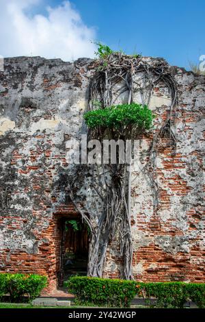 The Wall of Fort Zeelandia in Anping Old Fort in Tainan of Taiwan.  Original wall of red bricks imported from Batavia Stock Photo