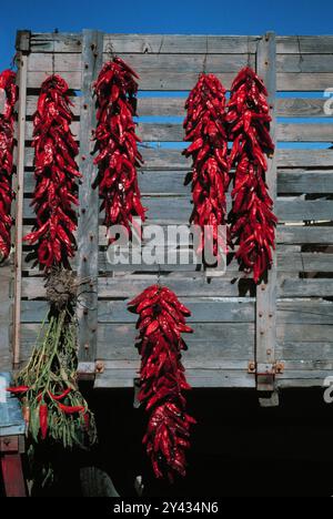 Chili peppers hanging on wagon in New Mexico Stock Photo