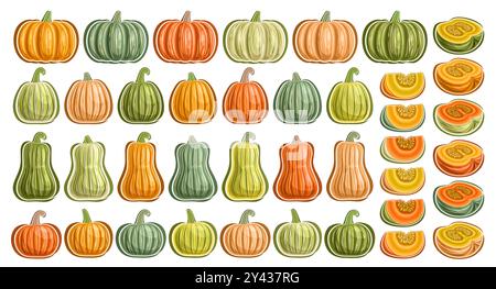 Vector Pumpkins and Kabocha Set, collection of cut out outline illustrations many different pumpkins, group of various cartoon design whole and choppe Stock Vector