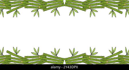 Bamboo frame, horizontal banner with green sticks, hand drawn bamboo doodles on white background. Vector illustration Stock Vector
