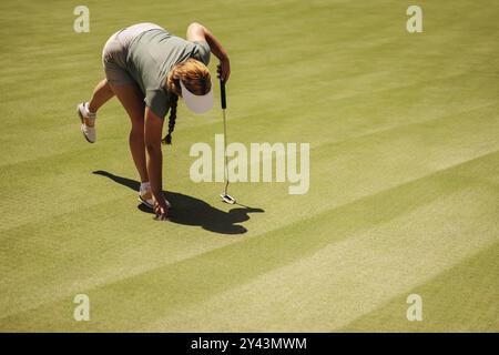 A female golfer prepares to putt, placing the ball on a vibrant green. Capturing the sport of golfing with focus and precision, with the immaculate gr Stock Photo