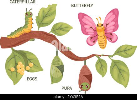 Cartoon caterpillar metamorphosis. Cute butterfly development, caterpillars life cycle biology transformation process pupa change chrysalis evolution, swanky vector illustration original artwork Stock Vector