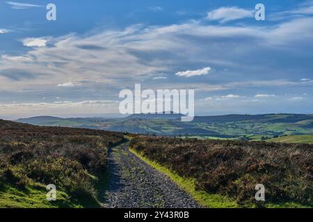 Corndon Hill, seen from the ridge path on the Long Mynd, Church Stretton, Shropshire Stock Photo