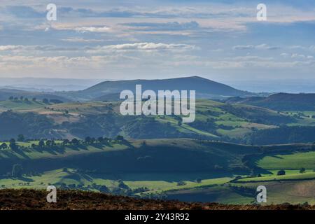 Linley Beeches on Linley Hill and Corndon Hill seen from Pole Bank. the summit of the Long Mynd, Church Stretton, Shropshire Stock Photo