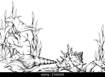 Marine life, sea ocean underwater creatures fish, shells algae seaweed, Ink and pen sketch hand drawn. Border frame illustration, stylized, isolated Stock Vector