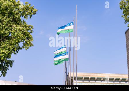 Two flags are flying on a pole in front of a building Stock Photo