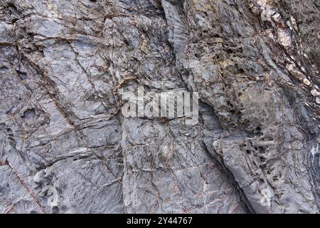 Surface of a piece of silver-grey rock found on Hemmick beach, Cornwall. Stock Photo