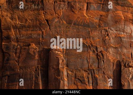 Close-up of textured red sandstone wall showing natural erosion. Stock Photo