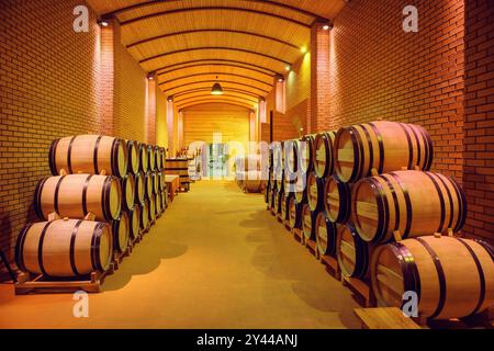 Rows of Wine Barrels in Wine Cellar Stock Photo