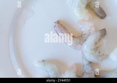 Raw king or tiger prawns on a white plate. Copyspace. High quality photo Stock Photo