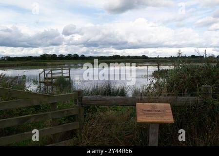 Brendan's Marsh in Hickling Broad Norfolk Wildlife Trust a haven for viewing wildlife the largest of Norfolk Broad's England UK Stock Photo