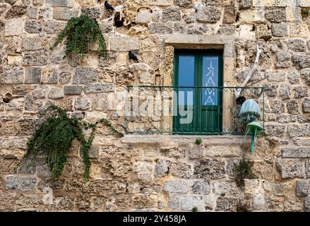 Caper bushes (Capparis spinosa) growing out of a house wall on an ancient building in the historic southern Italian city of Otranto, Apulia, Italy. Stock Photo
