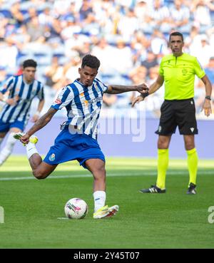 Galeno goal during the game between FC Porto and SC Farense in Estádio do Dragão, Porto Stock Photo