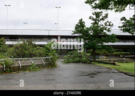 Vienna, Austria. September 16, 2024. Storm and flooding on the New Danube in Vienna Stock Photo