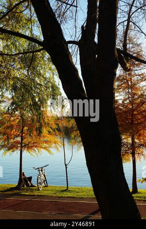 Bucharest, Romania - November 5, 2023: Young man sitting on grass leant by tree trunk with bike next to him on lake shore in IOR park in Bucharest in Stock Photo