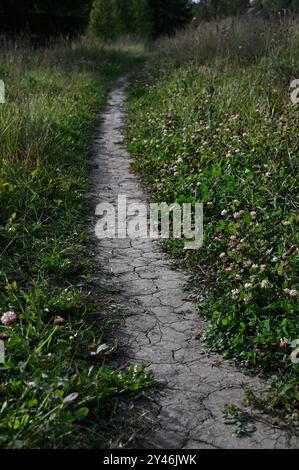 The image captures a narrow, cracked dirt path winding through a lush, green meadow. The path appears dry and uneven, contrasting with the surrounding Stock Photo